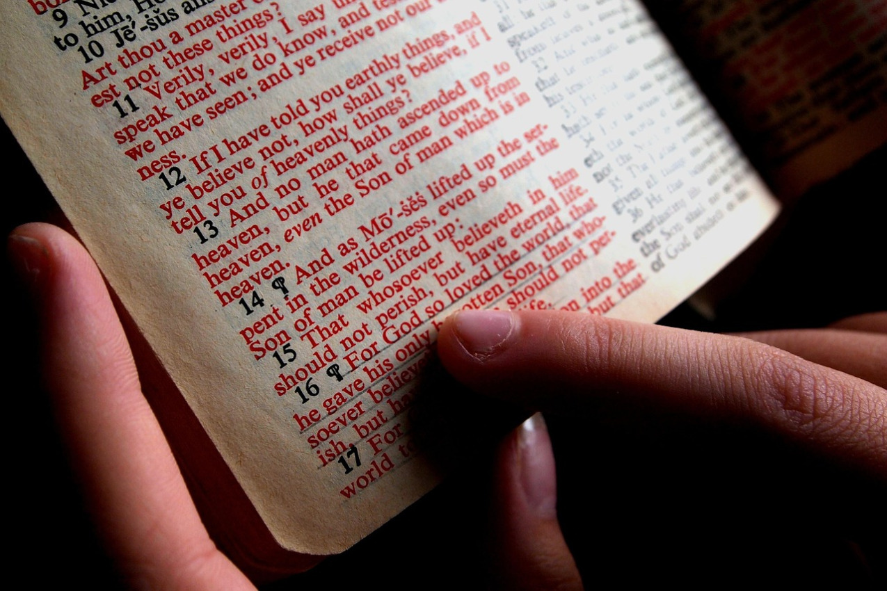bible study hand reading scripture